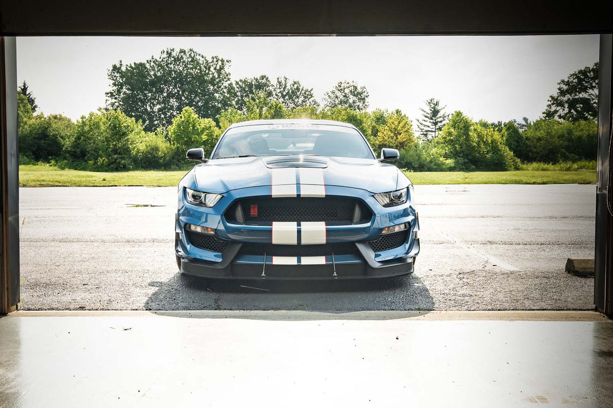 Dual-Element Dive Plane (Canard) Kit - Ford Mustang Shelby GT350