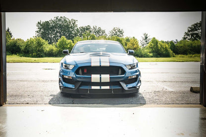Dual-Element Dive Plane (Canard) Kit - Ford Mustang Shelby GT350