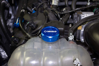 Coolant Overflow Cap - Ford